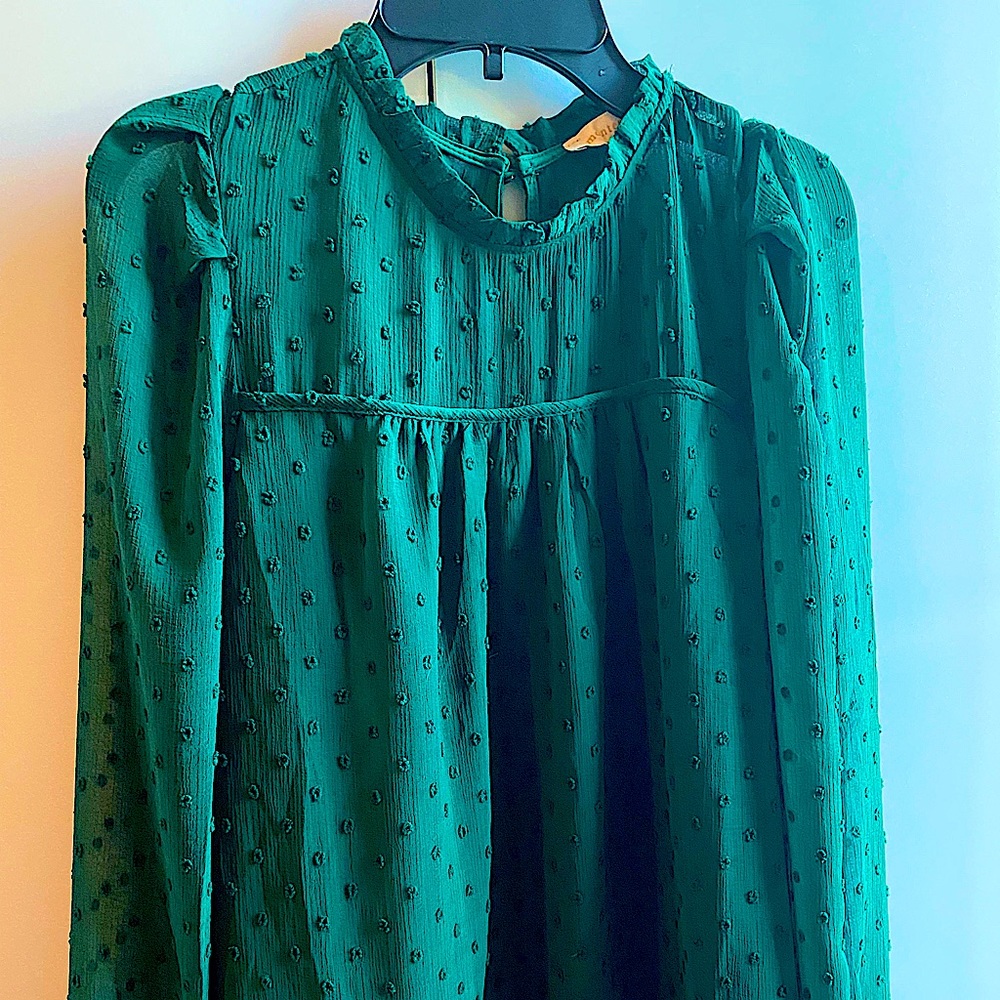 Christmas 🎄 cute shirt, rich green color, never worn, monteau long sleeve shirt